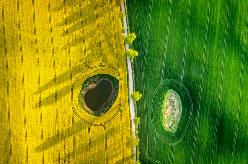 The Rule of Odds in Photography: How to Create Balanced Compositions | Skylum Blog(7)