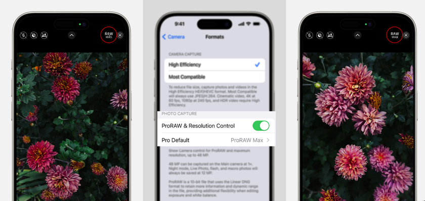 Shooting RAW Photos on iPhone: How to Guide | Skylum Blog(5)