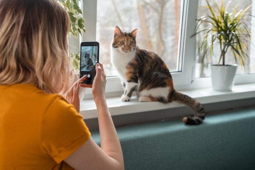 AI Is A Rerun Of The Photography Tech Disruption  | Skylum Blog(5)