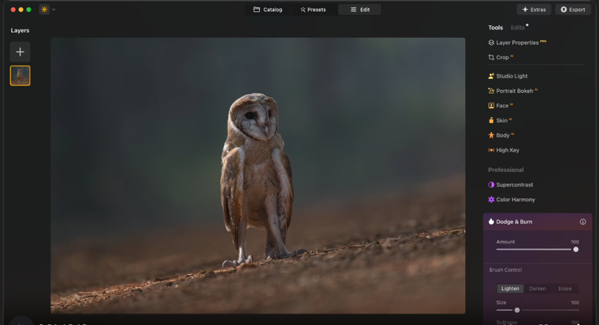 Photo editor Luminar Neo| Skylum Blog