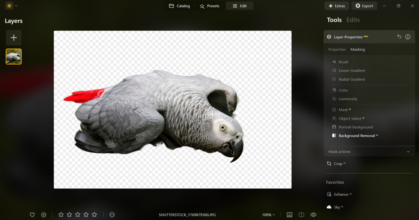 Removed background in Luminar Neo| Skylum How-to