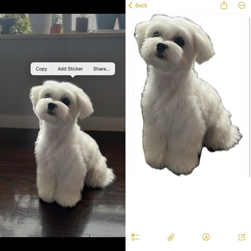 Copied item in phone| Skylum How-to