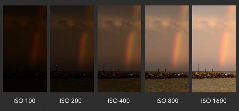 ISO Variants | Skylum Blog