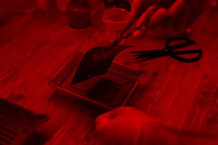 Soaking photos in liquid | Skylum Blog