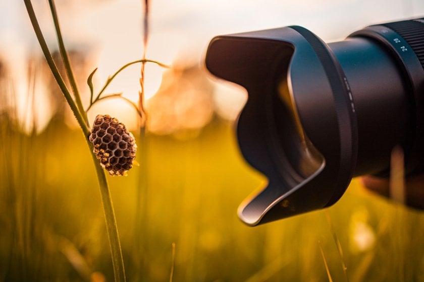 The camera is close to the macro object | Skylum Blog