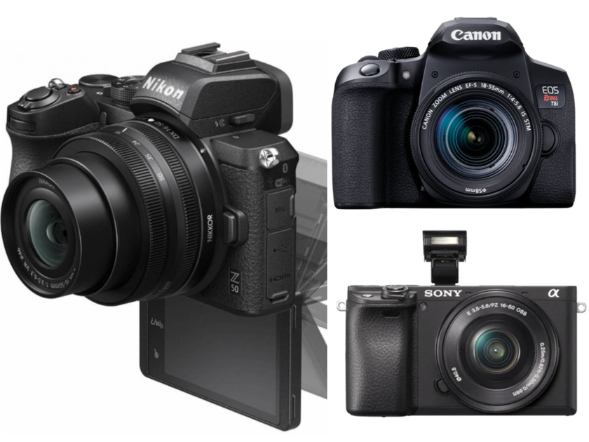 Camera for Beginners in Macro Photography | Skylum Blog
