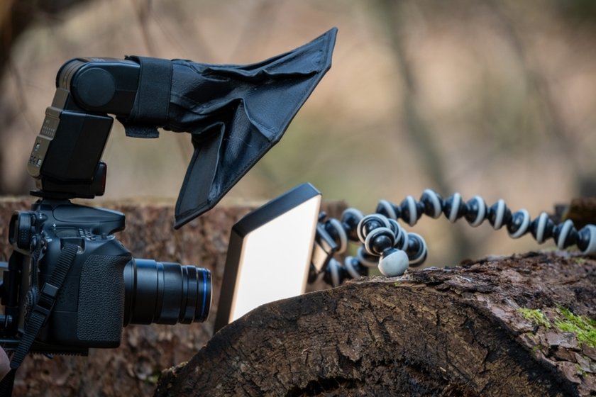 Lighting for macro photography | Skylum Blog