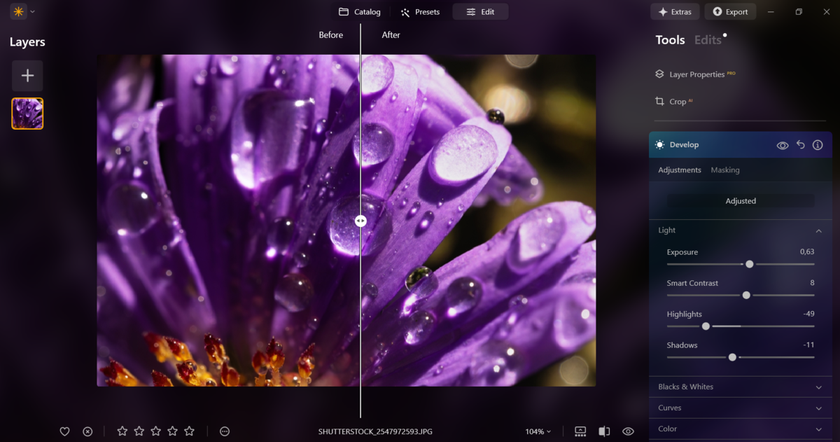 Editing Macro Photos in Luminar Neo | Skylum Blog