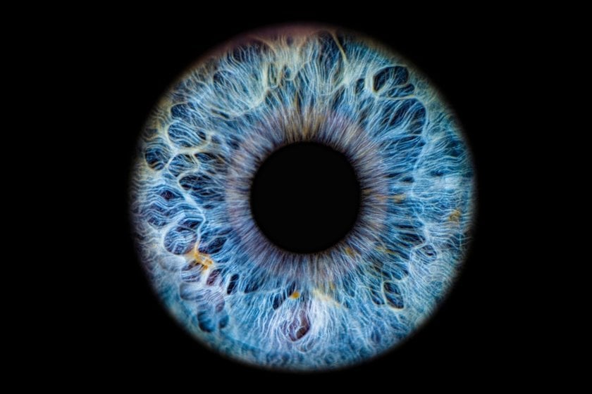 Macro Photo of an Eye | Skylum Blog