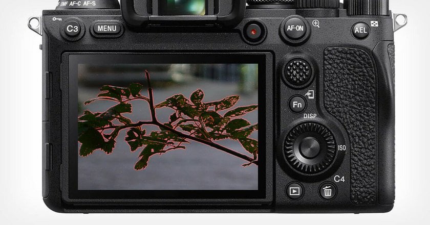 Focus peaking on a photo of a branch | Skylum Blog