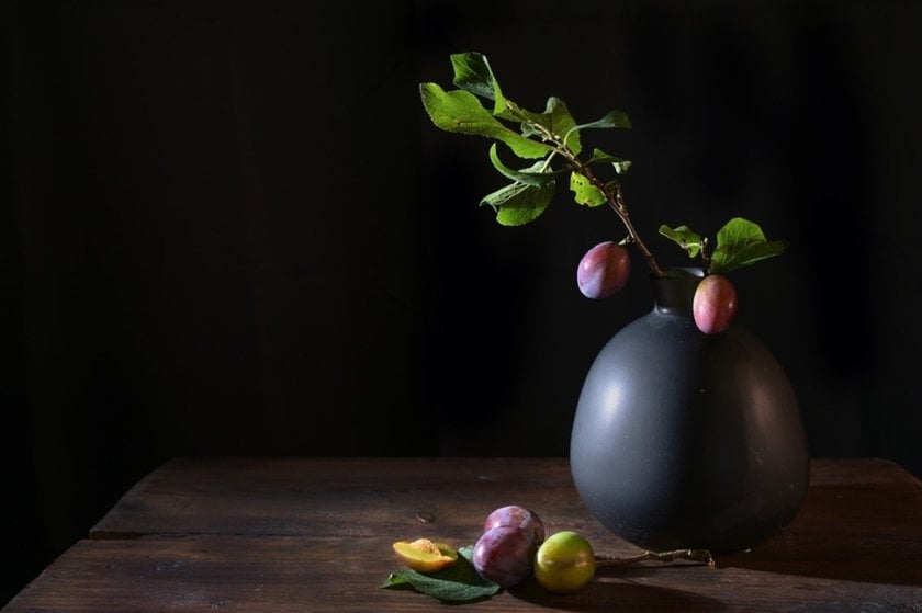 A sprig of plums in a vase on a dark background | Skylum Blog