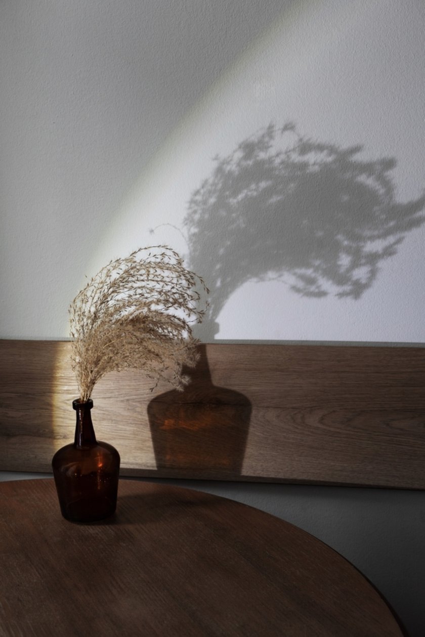 Object photo with shadow | Skylum Blog