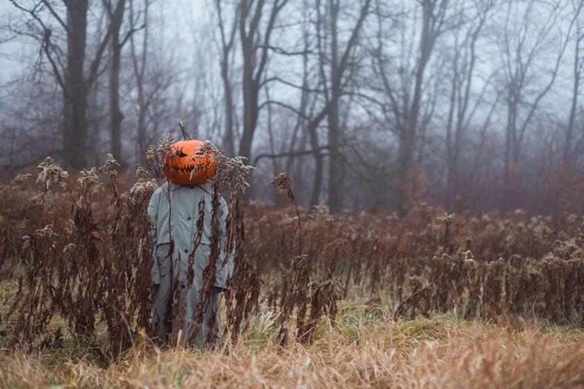 A man with a pumpkin on his head in a foggy field | Skylum Blog