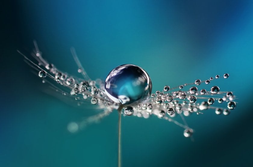 Macro photo of pin heads abstraction | Skylum Blog