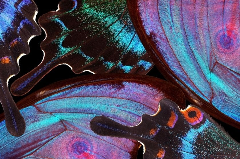Macro photo of water droplet abstract | Skylum Blog