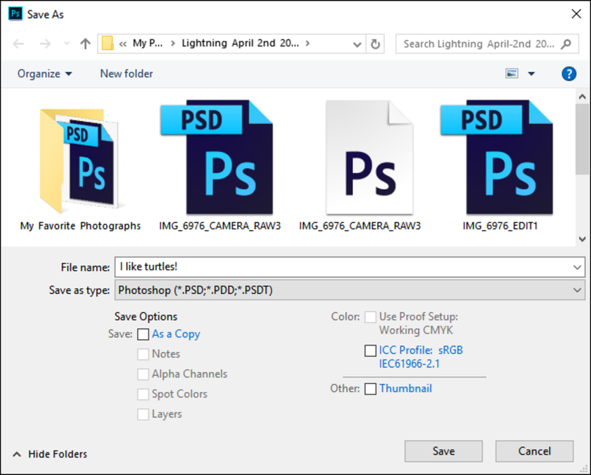 PSD File | Skylum Blog