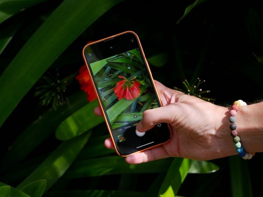 A girl takes a photo of a flower on her iPhone | Skylum Blog