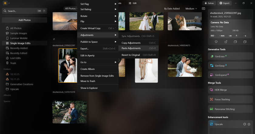 Paste Adjustments in Luminar Neo | Skylum Blog