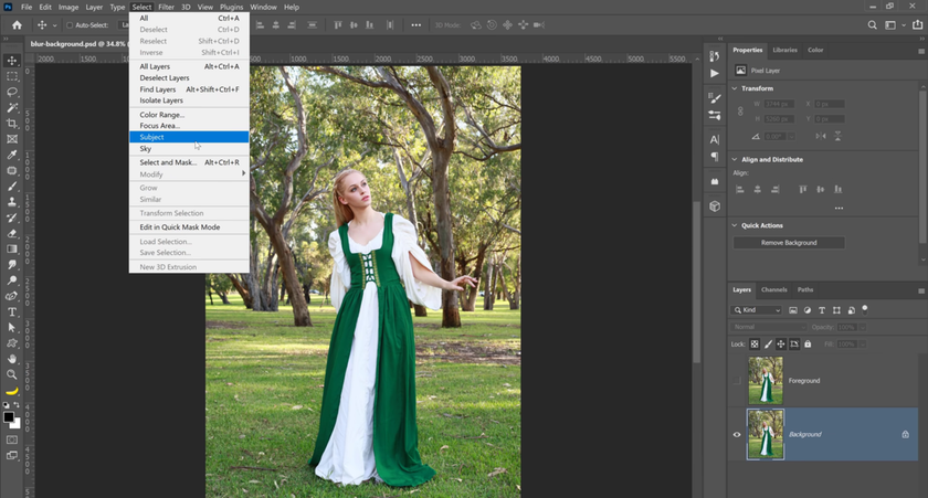 Selecting an object in Photoshop | Skylum How-to