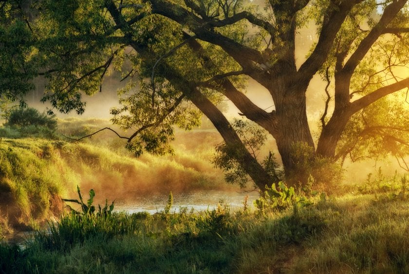 Landscape with light in AI | Skylum Blog