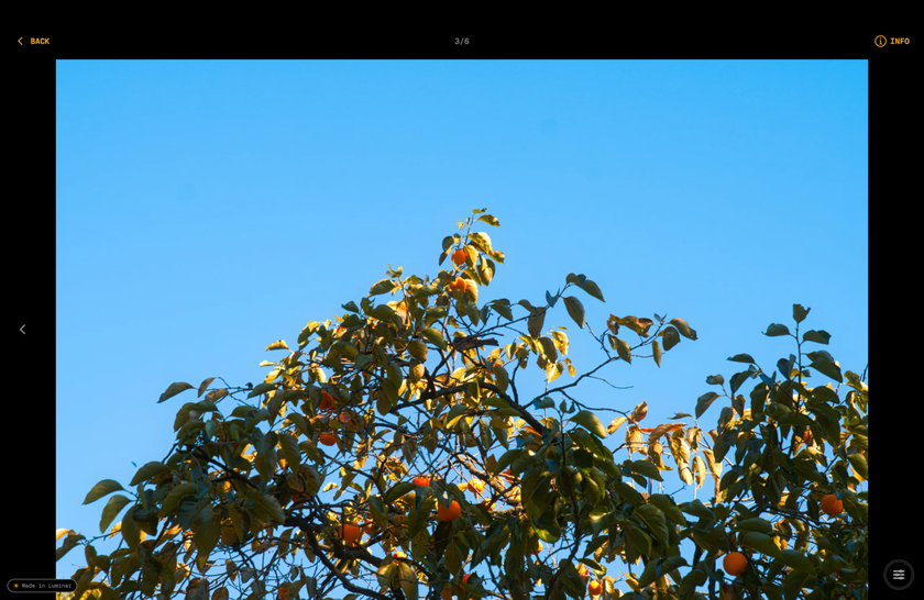 View photos in the Spaces Gallery | Skylum How-to