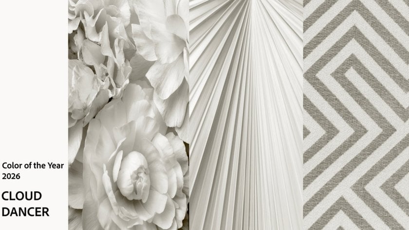 White textures | Skylum Blog