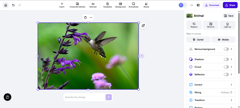 Upload your image in PhotoRoom | Skylum How-to