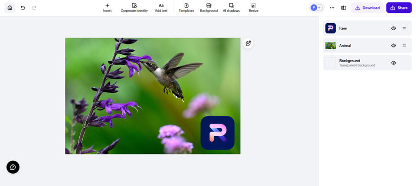 Resize the logo in PhotoRoom | Skylum How-to