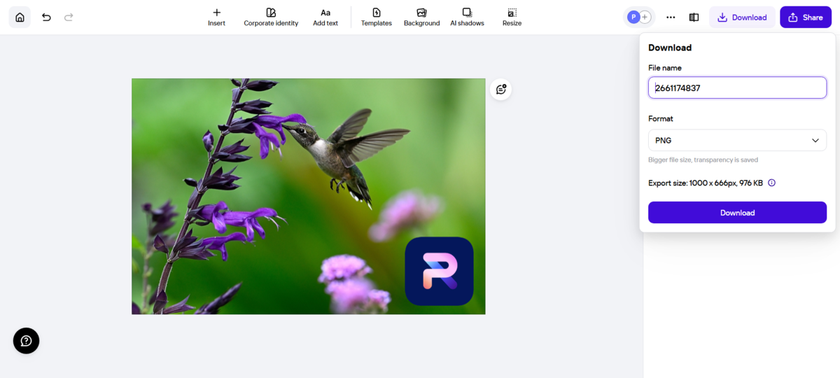 Export your branded photo in PhotoRoom | Skylum How-to