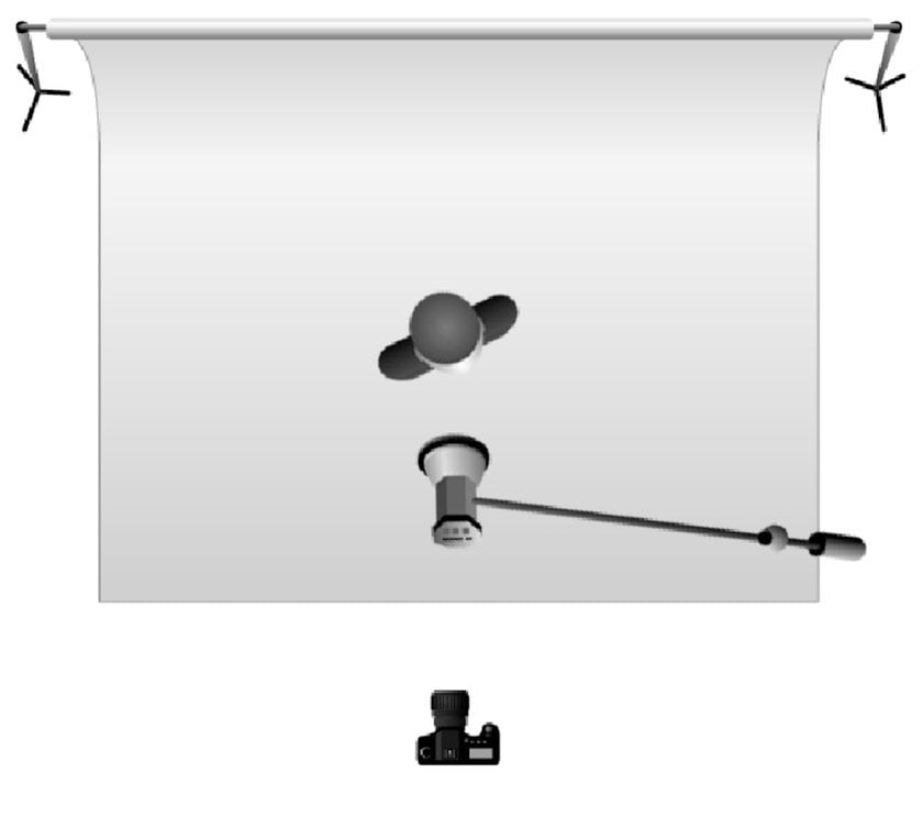 Butterfly/ Paramount | Skylum Blog