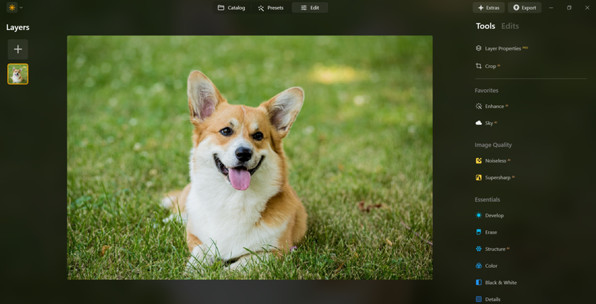 Load Your Image in Luminar Neo | Skylum Blog