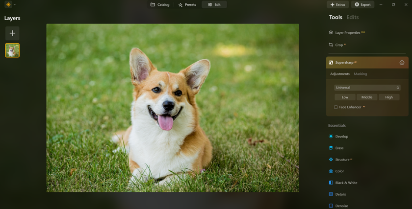 Turn on AI Image Sharpening in Luminar Neo | Skylum Blog