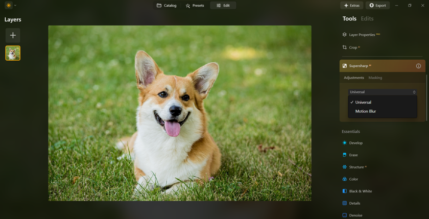 Select the Correction Type in Luminar Neo | Skylum Blog