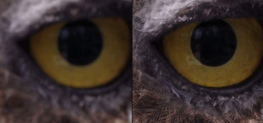 Photos of eyes with different levels of sharpness | Skylum Blog