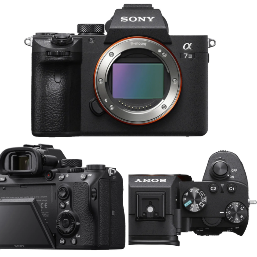 Sony A7III | Skylum Blog