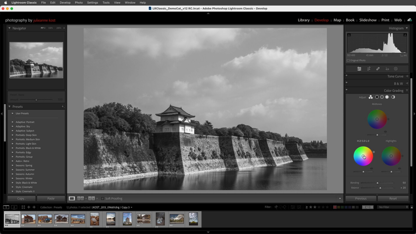 Color/HSL in Lightroom Classic | Skylum How-to