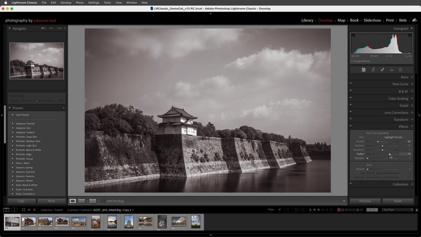 Effects in Lightroom Classic | Skylum How-to