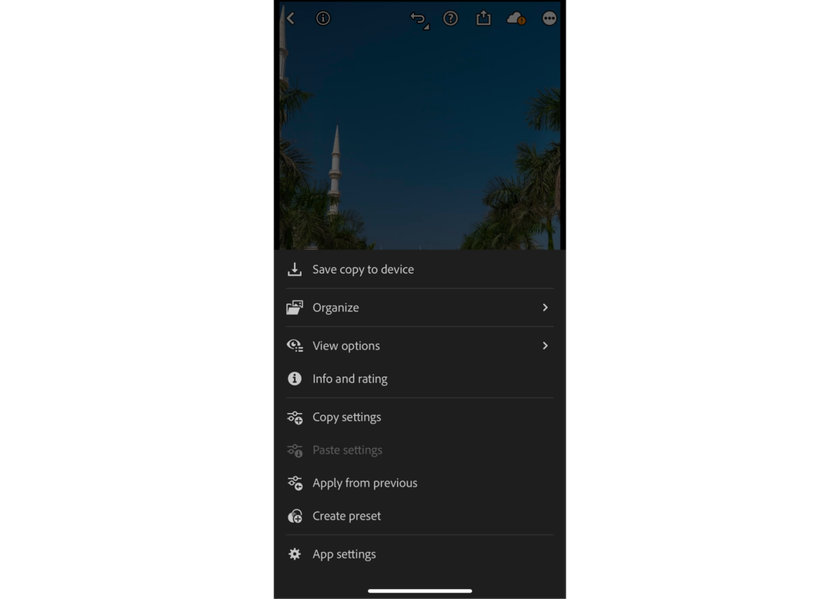 Create Preset in Lightroom Mobile | Skylum How-to