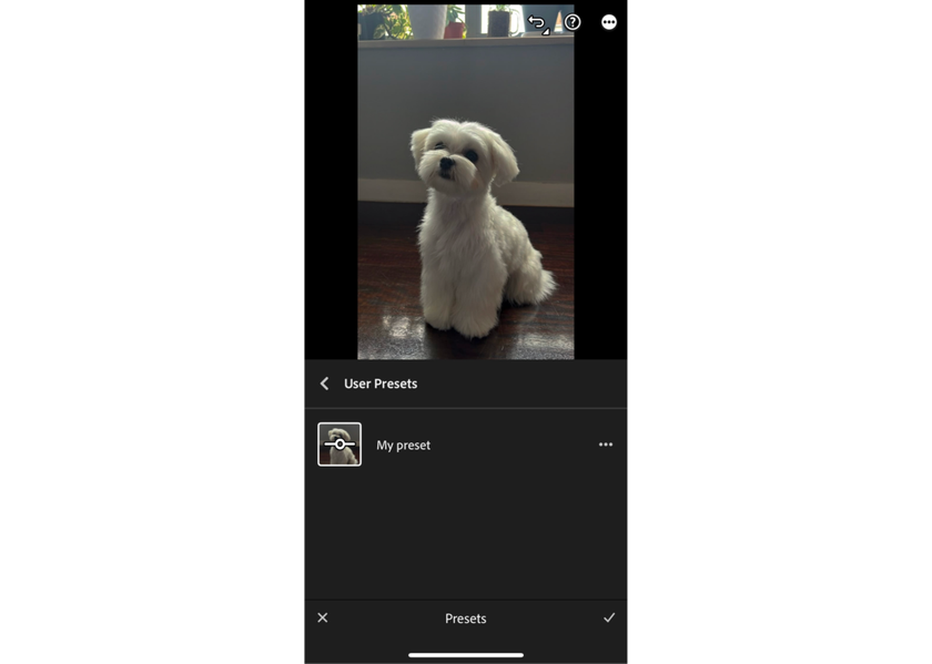 Testing the preset on a photo in Lightroom Mobile | Skylum How-to