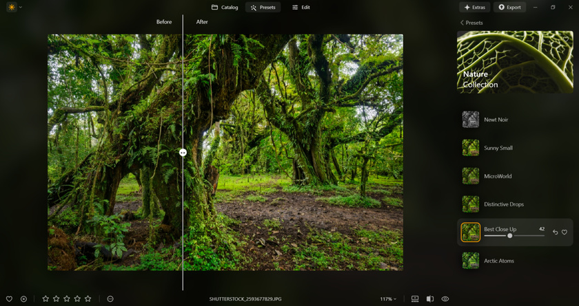 Presets in Luminar Neo | Skylum Blog