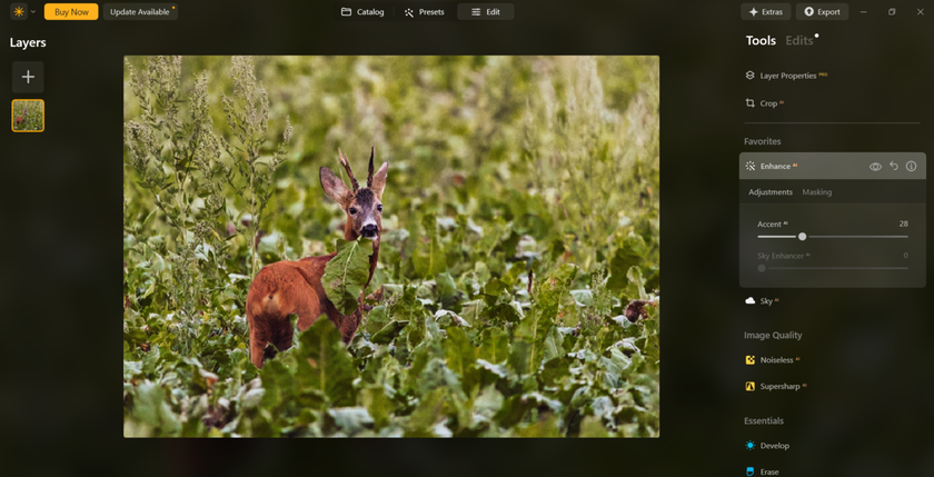 Enhance in Luminar Neo | Skylum Blog