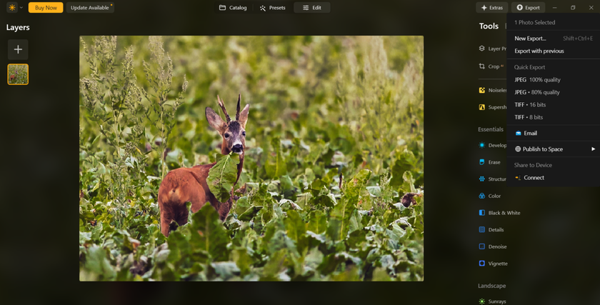 Exporting photos in Luminar Neo | Skylum Blog