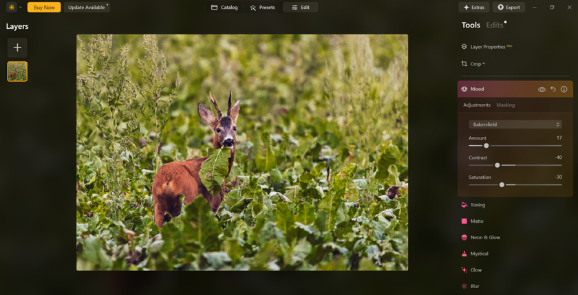 Color editor in Luminar Neo | Skylum Blog