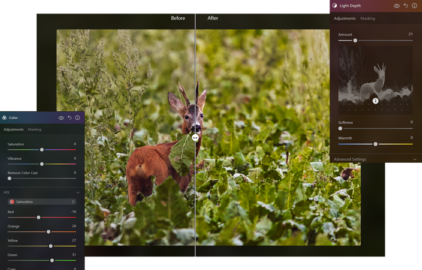 Why Luminar Is The Best Photo Editor For Beginners? | Skylum Blog(3)