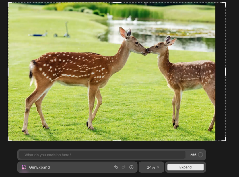 GenExpand in Luminar Neo before | Skylum Blog