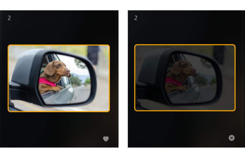 Featured and excluded photos in Luminar Neo | Skylum Blog