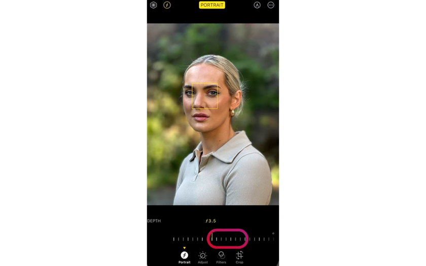 Change the blur in a portrait photo on iPhone | Skylum Blog