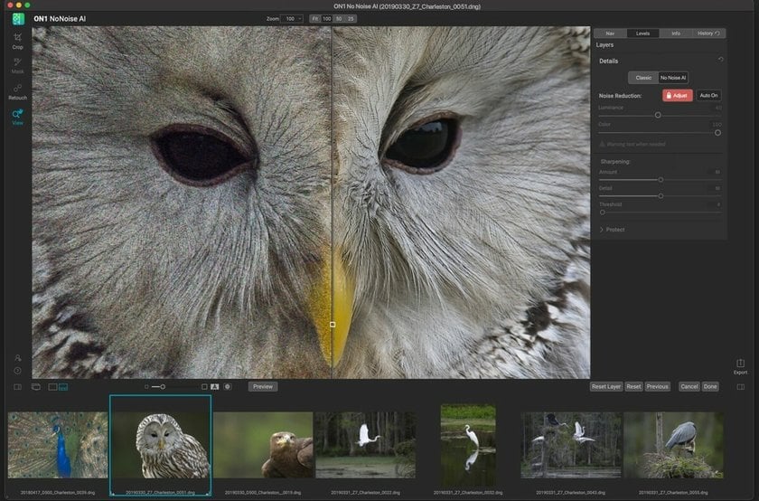 ON1 NoNoise AI photo editor | Skylum Blog