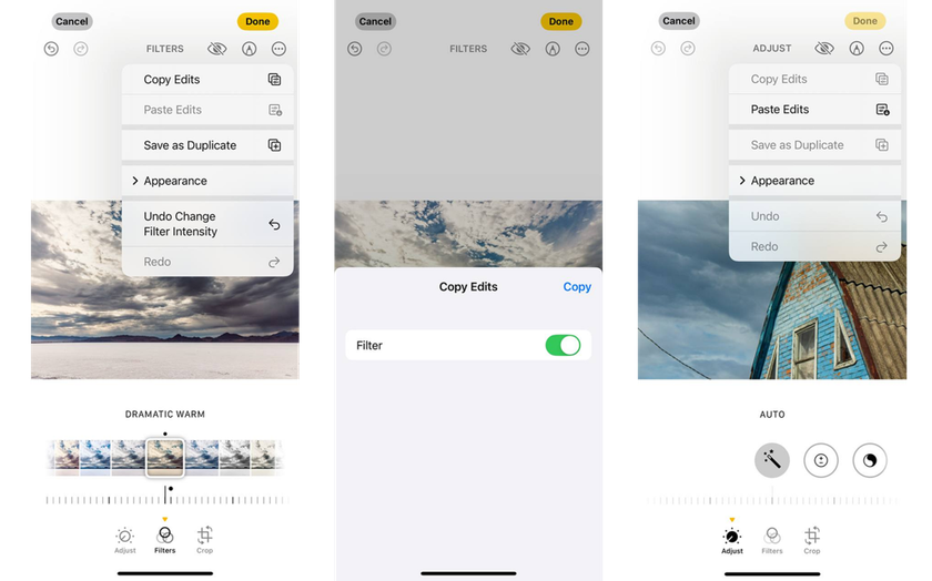 How to copy and paste a filter onto a photo on iPhone | Skylum Blog
