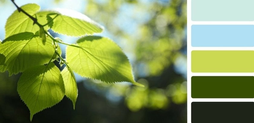 Color palette | Skylum How-to